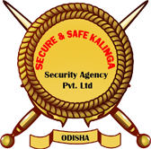 security Logo